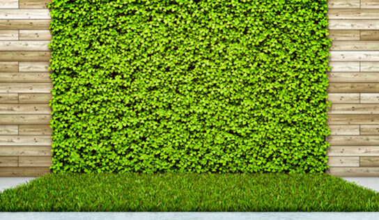 Jardines verticales artificiales: rodéate de verde