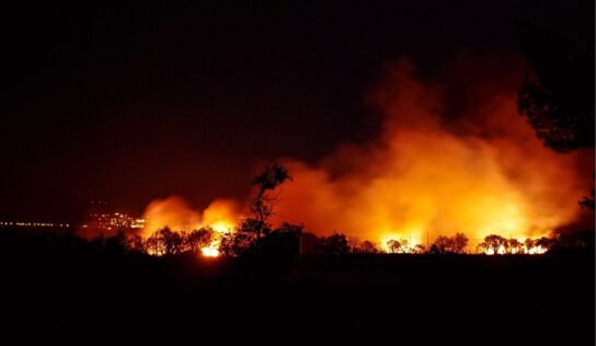 MCI informa sobre los efectos del primer incendio forestal de 2023 en España