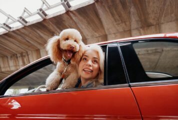 Mapfre lanza ReDrive, un nuevo servicio para operaciones de compraventa de vehículos entre particulares